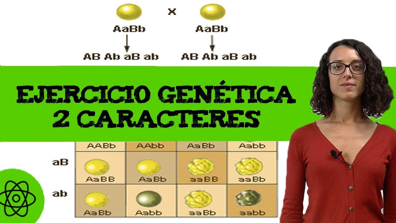 Ejercicio de genética con 2 caracteres 🧬