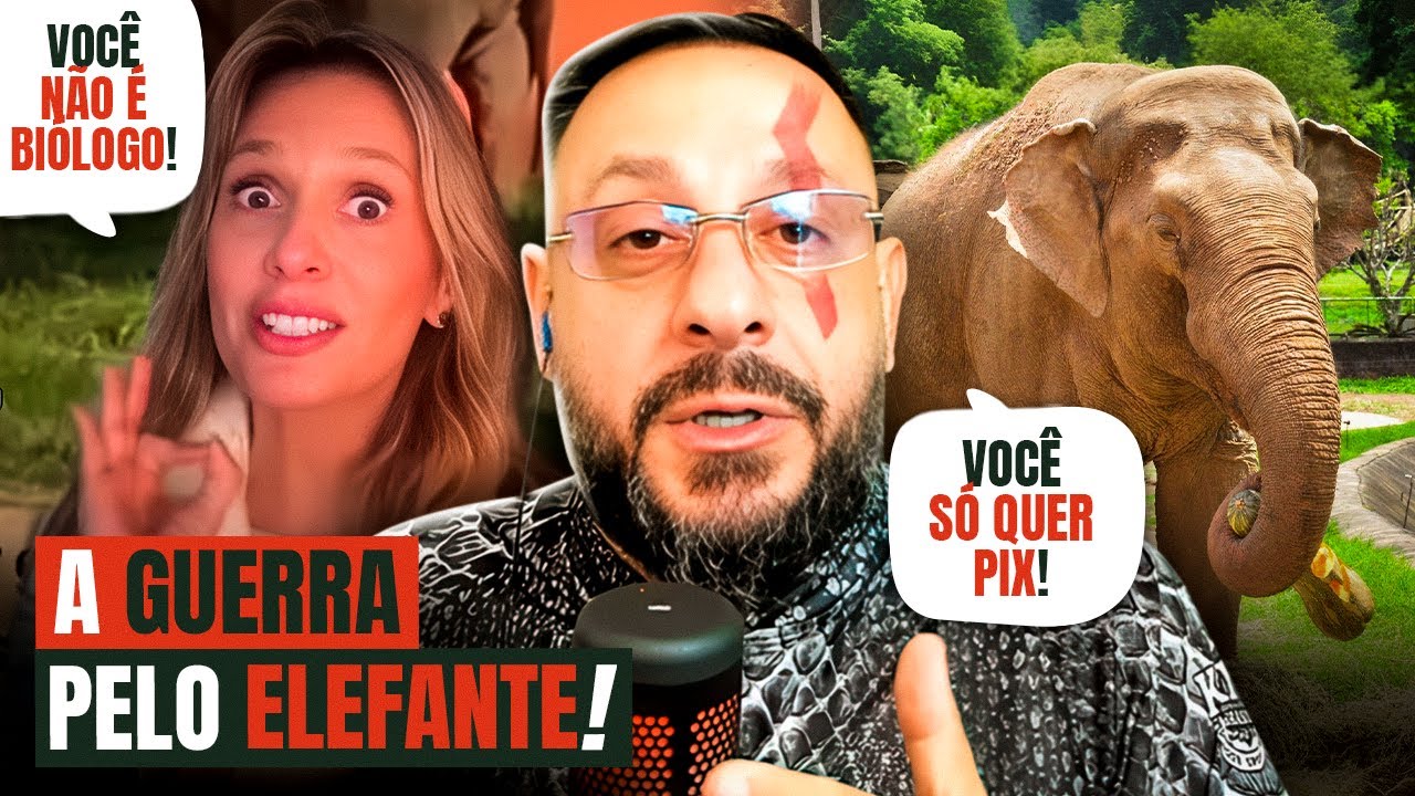 ENTENDA A TRETA ENVOLVENDO O ELEFANTE SANDRO