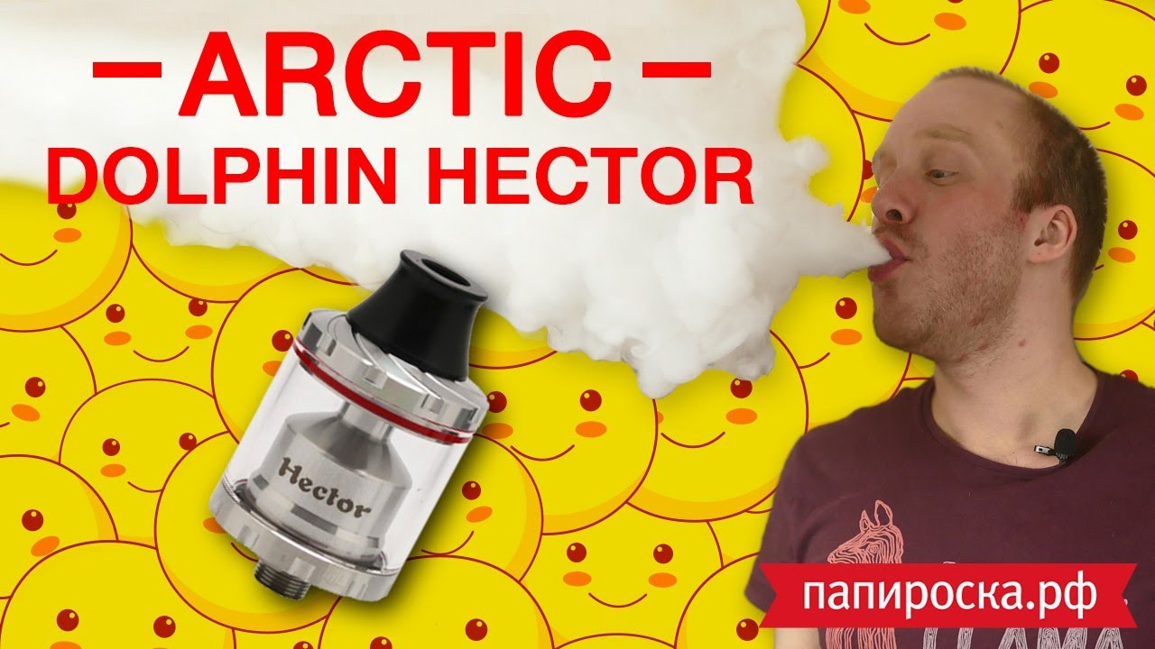 Arctic Dolphin Hector RTA | Цена решает 💰