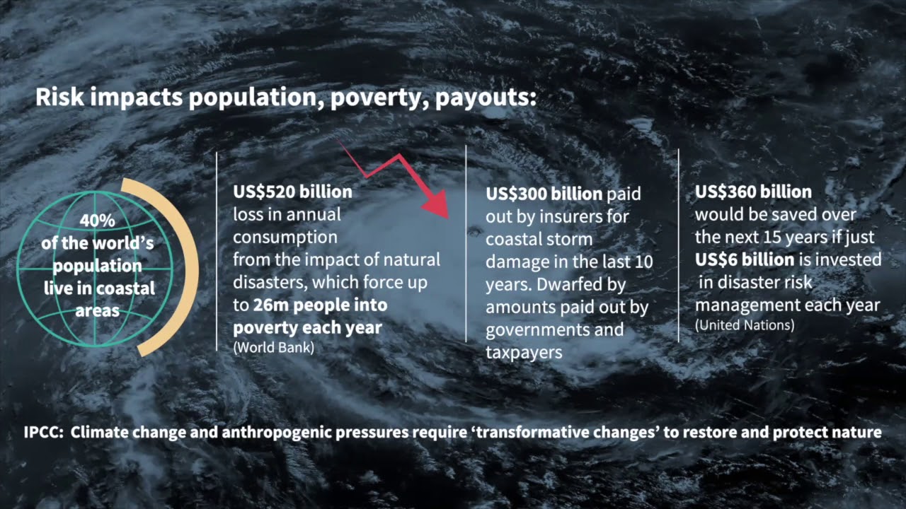 Collaborating on Financial Innovation to Build Resilience to Ocean Risk thru Nature Based Solutions