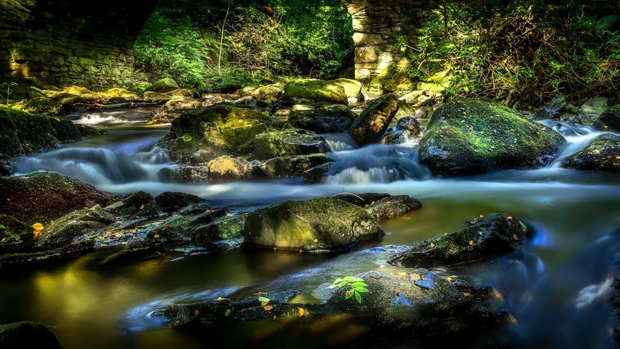 Matthew 3 - (KJV)|Singlogos