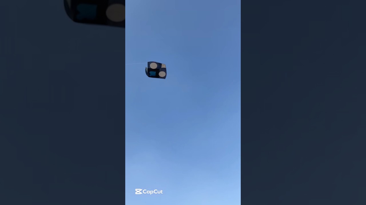 Black gudda loot lia😍#kite #kite #kiteground #ytshorts #viralshorts