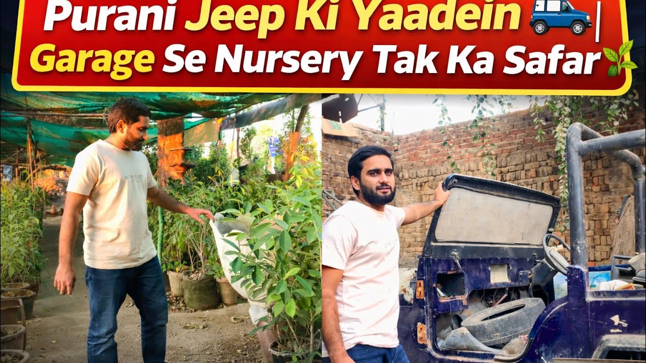 Purani Jeep Ki Yaadein 🚙 | Garage Se Nursery Tak Ka Safar 🌱