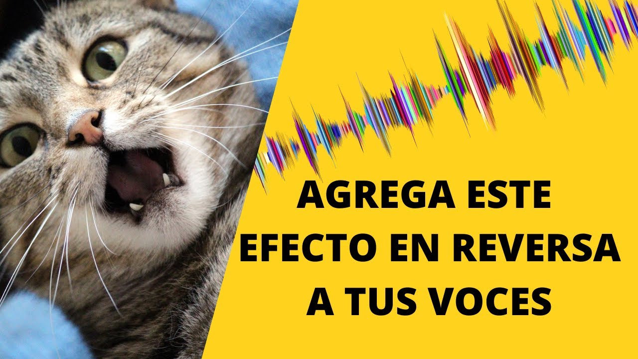 Vocal REVERSE Reverb 😮 - Agrega Este Efecto De Entrada A Tus Voces 🔥