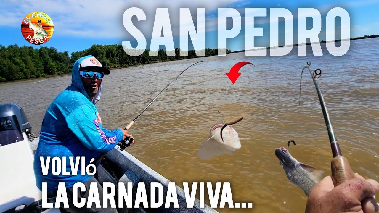 TREMENDO GARETE con ANGUILA..  EN PLENO CANAL