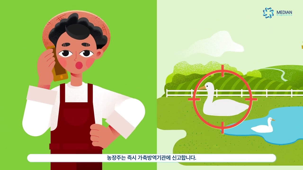 [메디안디노스틱] 조류인플루엔자 종합진단시스템 인포그래픽 (NEW)