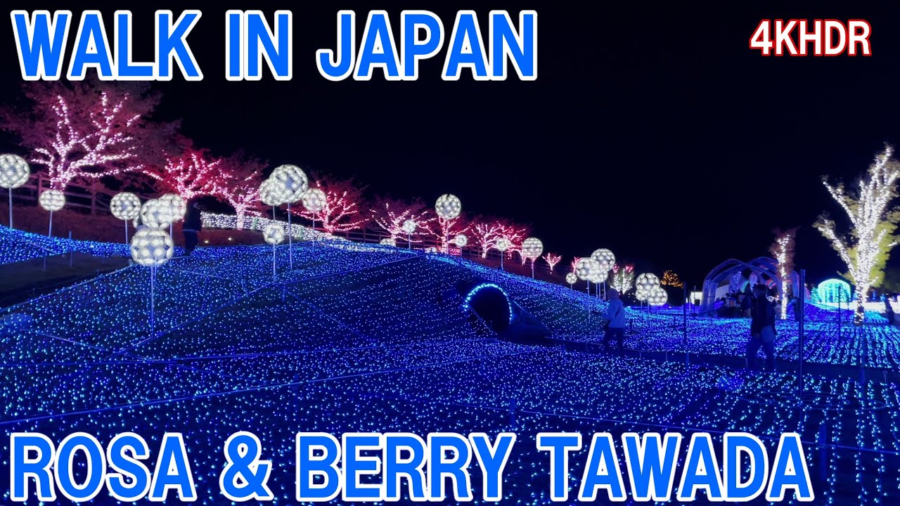 【4K】Walk in illuminated ROSA & BERRY TAWADA in SHIGA  in JAPAN
