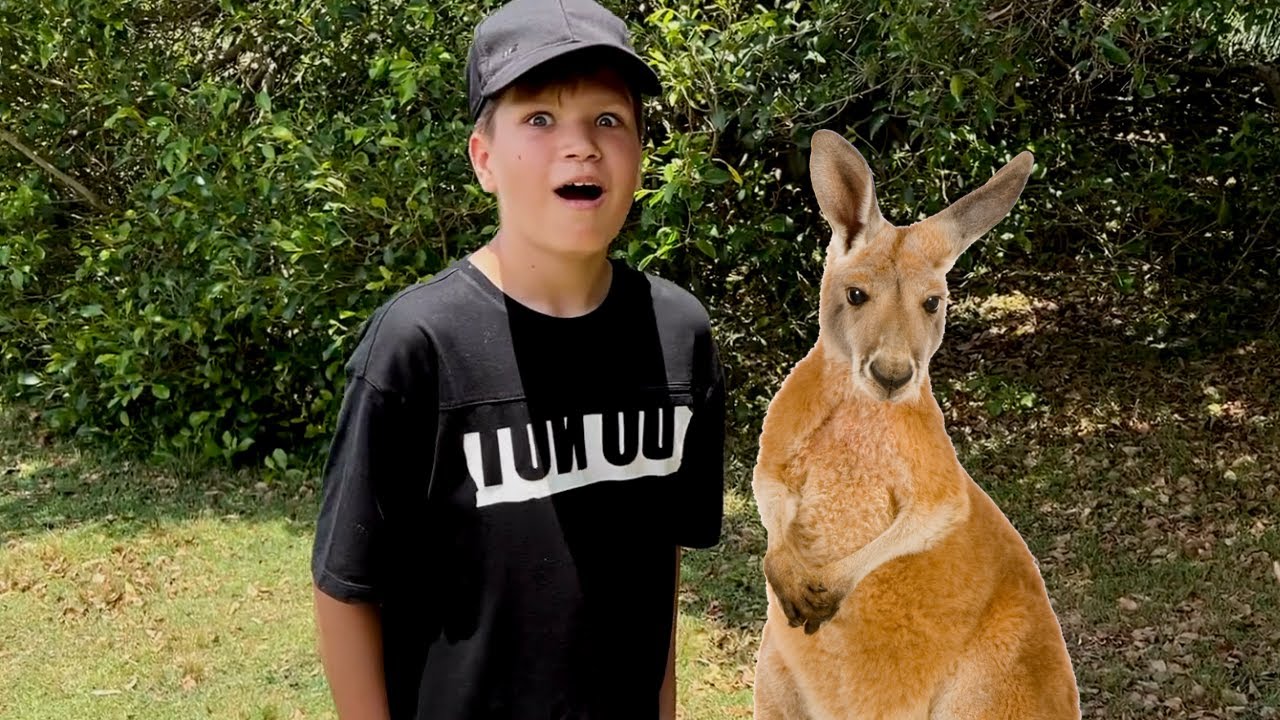 PAGLOSTĖM KENGŪRAS. GRAŽIAUSIAS PAPLŪDYMYS AUSTRALIJOJE