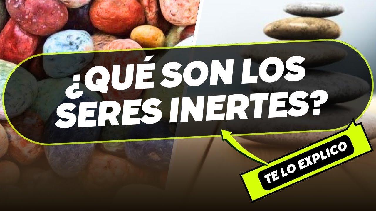 ¿Qué Son los Seres Inertes? Biología/ Explicacion Facil
