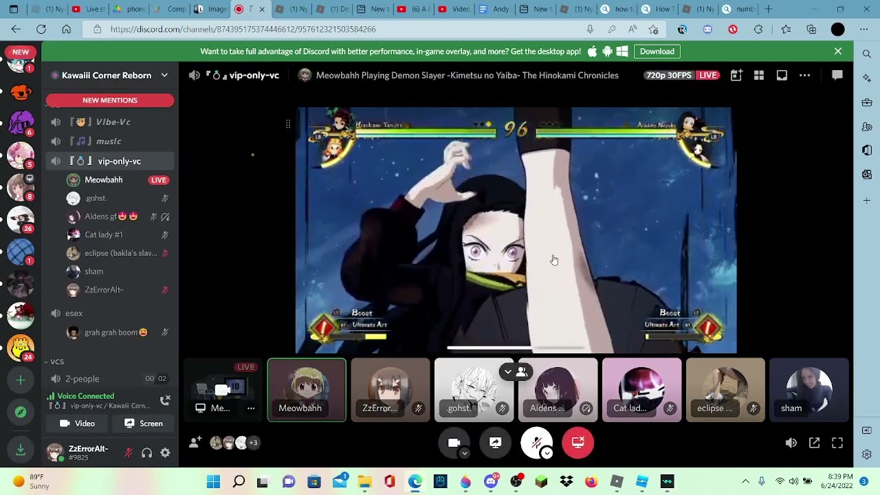 Meowbahh Discord Trolling (loud and cursing)