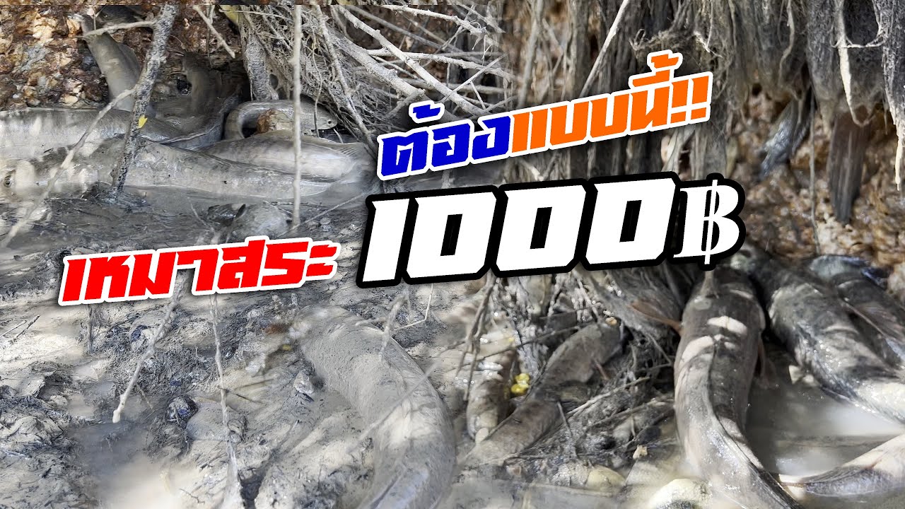 เหมาสระ 1,000 บาท ต้องแบบนี้ ได้ใจคนดูเต็มๆ 28 ธันวาคม 2564 Ep.14