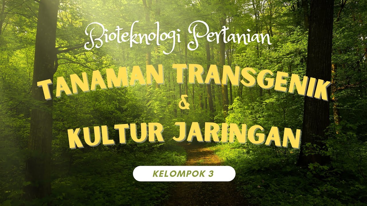 Bioteknologi Pertanian — Tanaman Transgenik & Kultur Jaringan