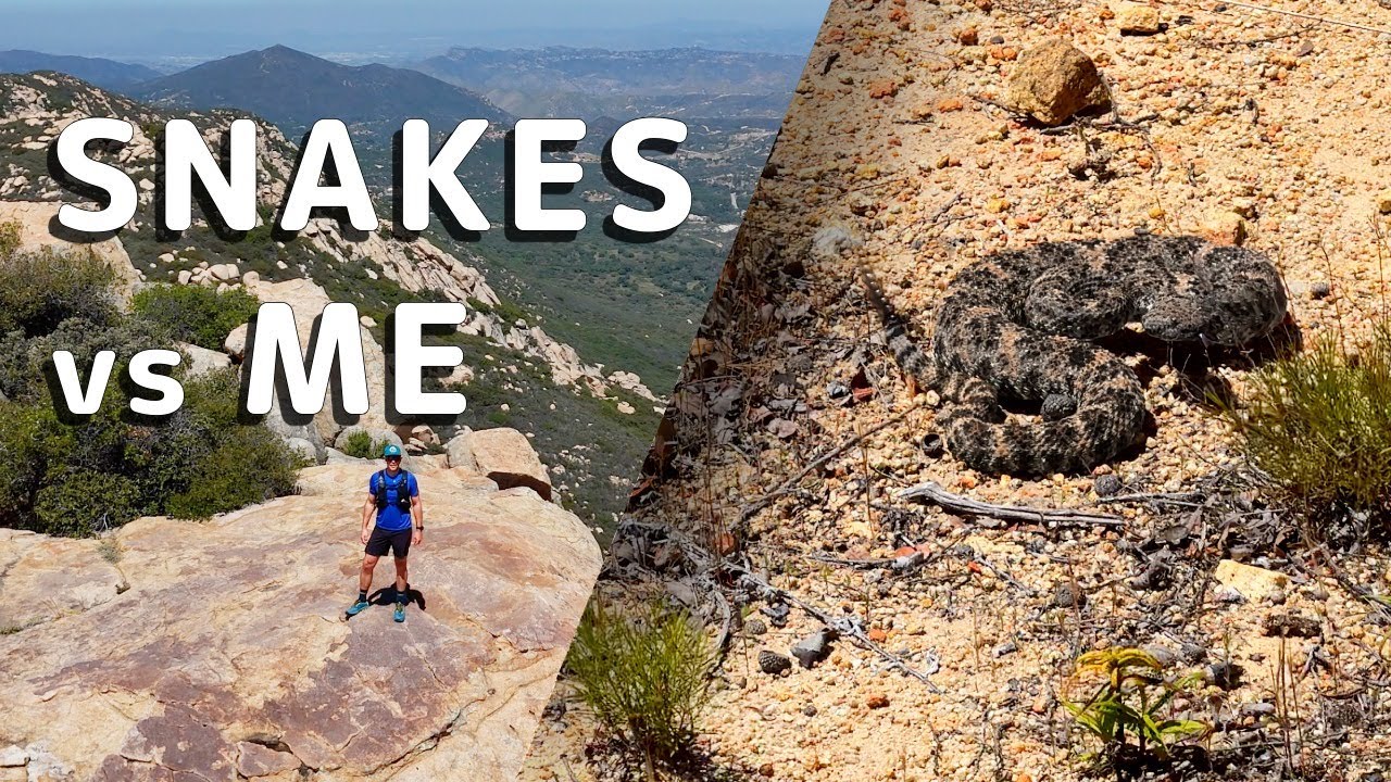 I Turned Back After 3 Rattlesnakes | Hiking Cleveland National Forest