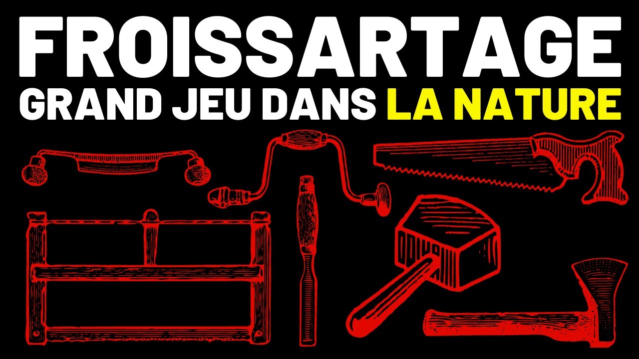 Review du guide pratique FROISSARTAGE - GRAND JEU DANS LA NATURE de Michel Froissart