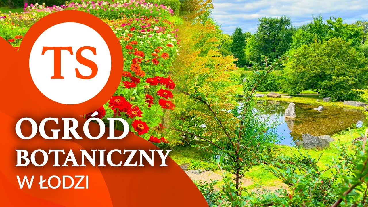 Ogród botaniczny w Łodzi - Relaksacyjny spacer wśród zieleni z muzyką - film 4K