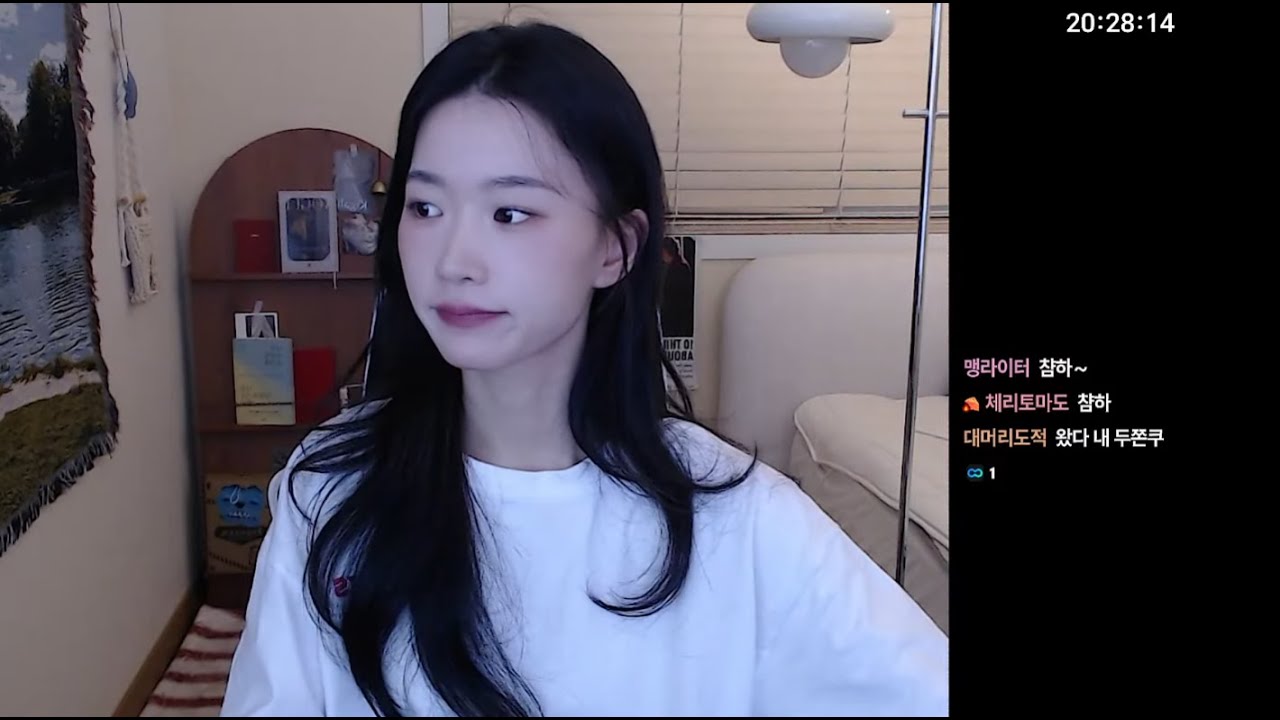메이플랜드 / 오늘도 크리븐이 나올까요?