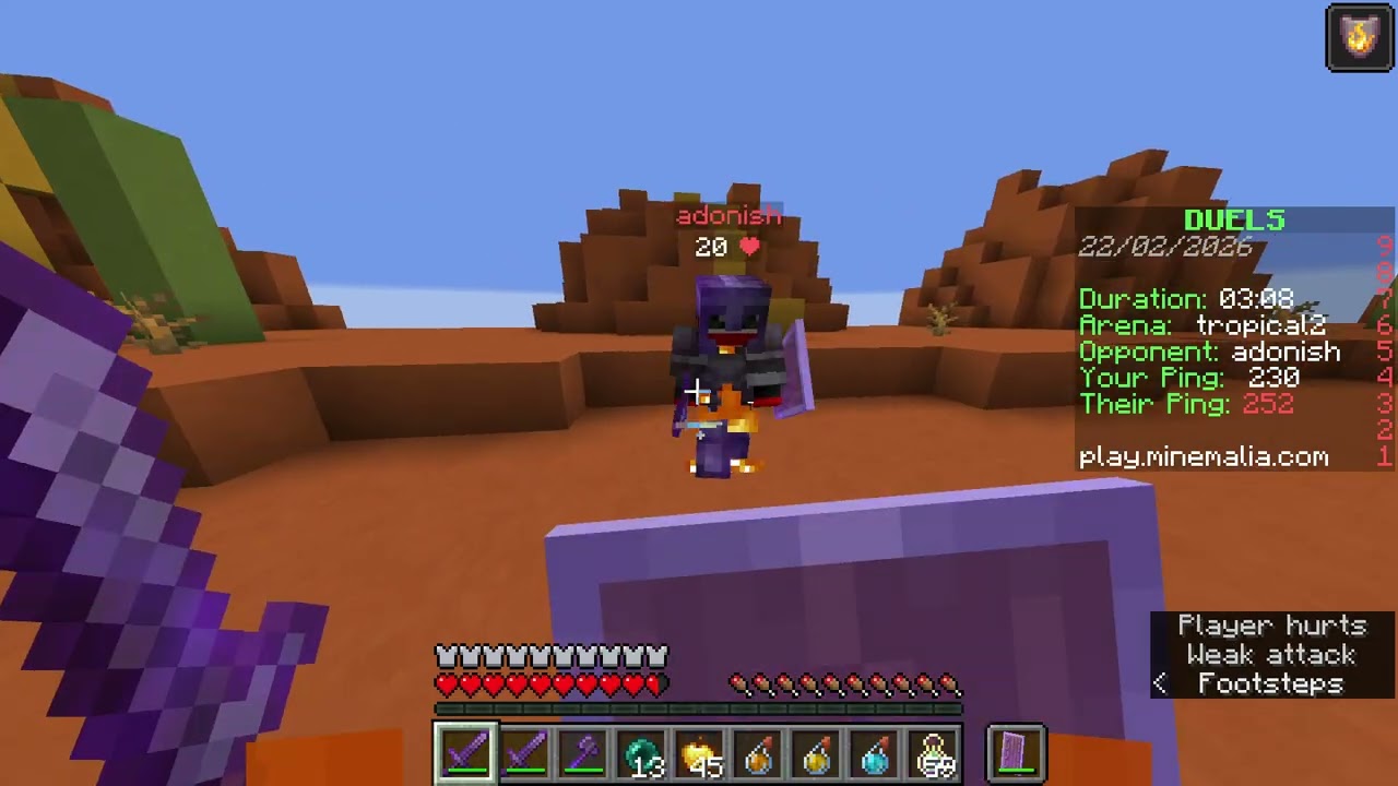 Minecraft  1 21 11 minemalia