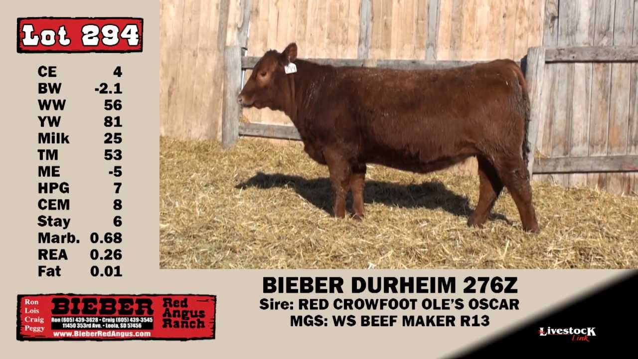 F294