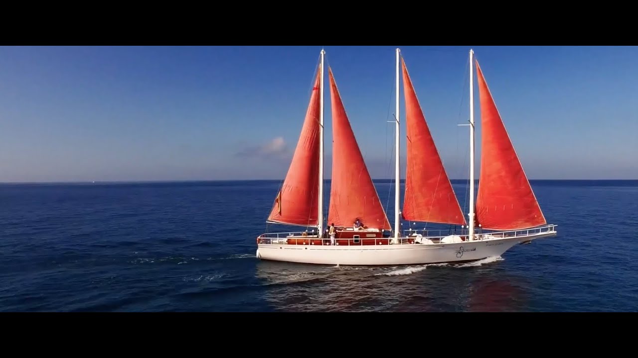 The Secret Yacht - Excursiones en un velero de lujo en Gran  Canaria