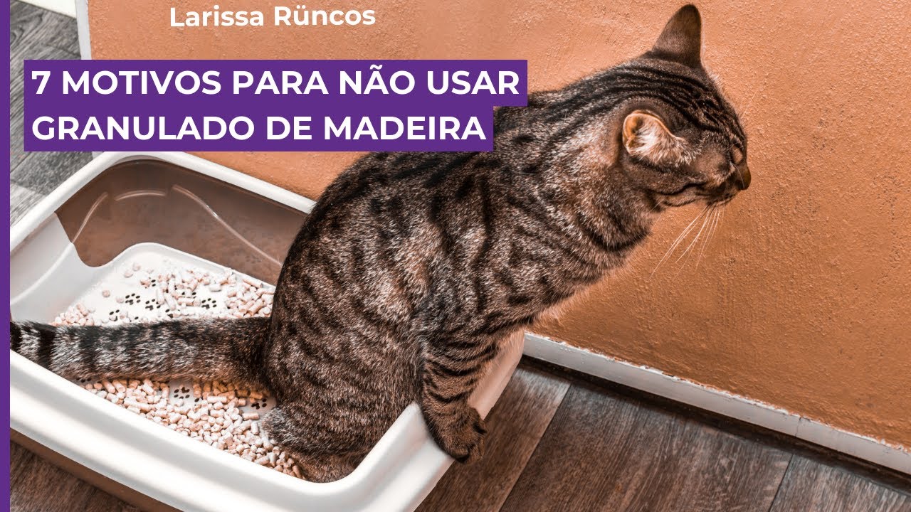 7 Motivos para NÃO usar granulado de madeira