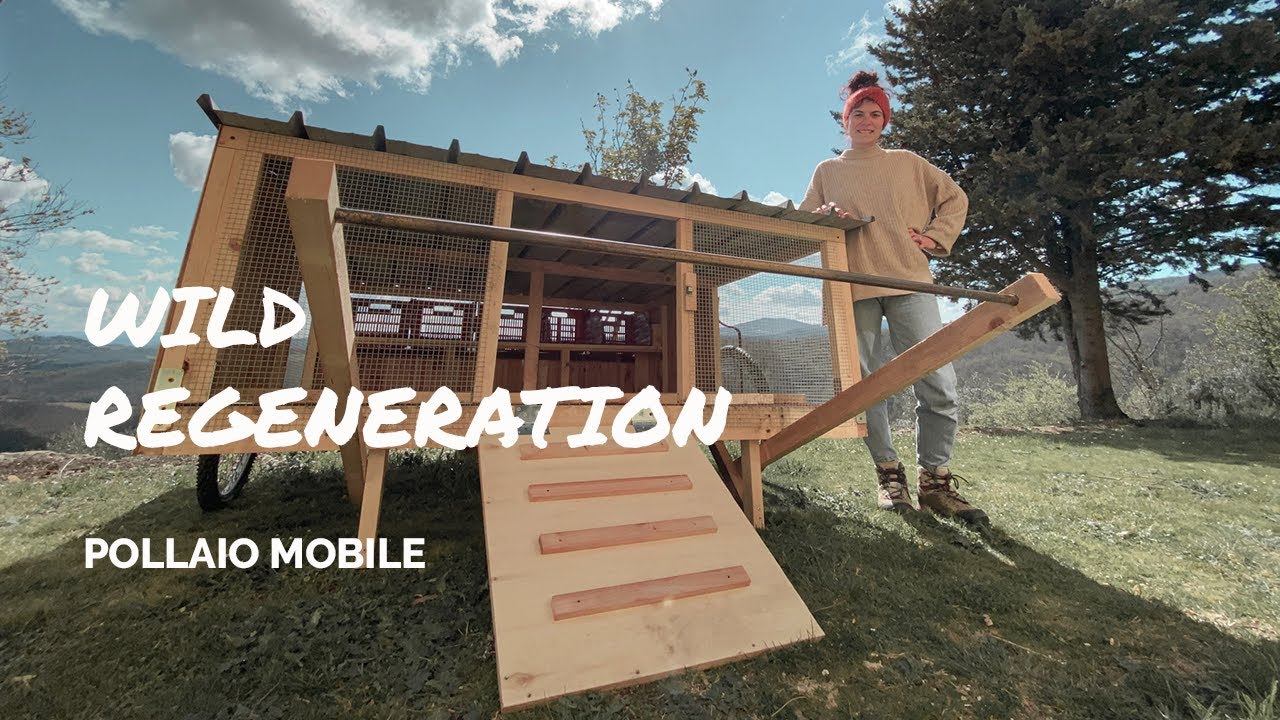 Costruire un POLLAIO MOBILE con 250€ - modello JUSTIN RHODES