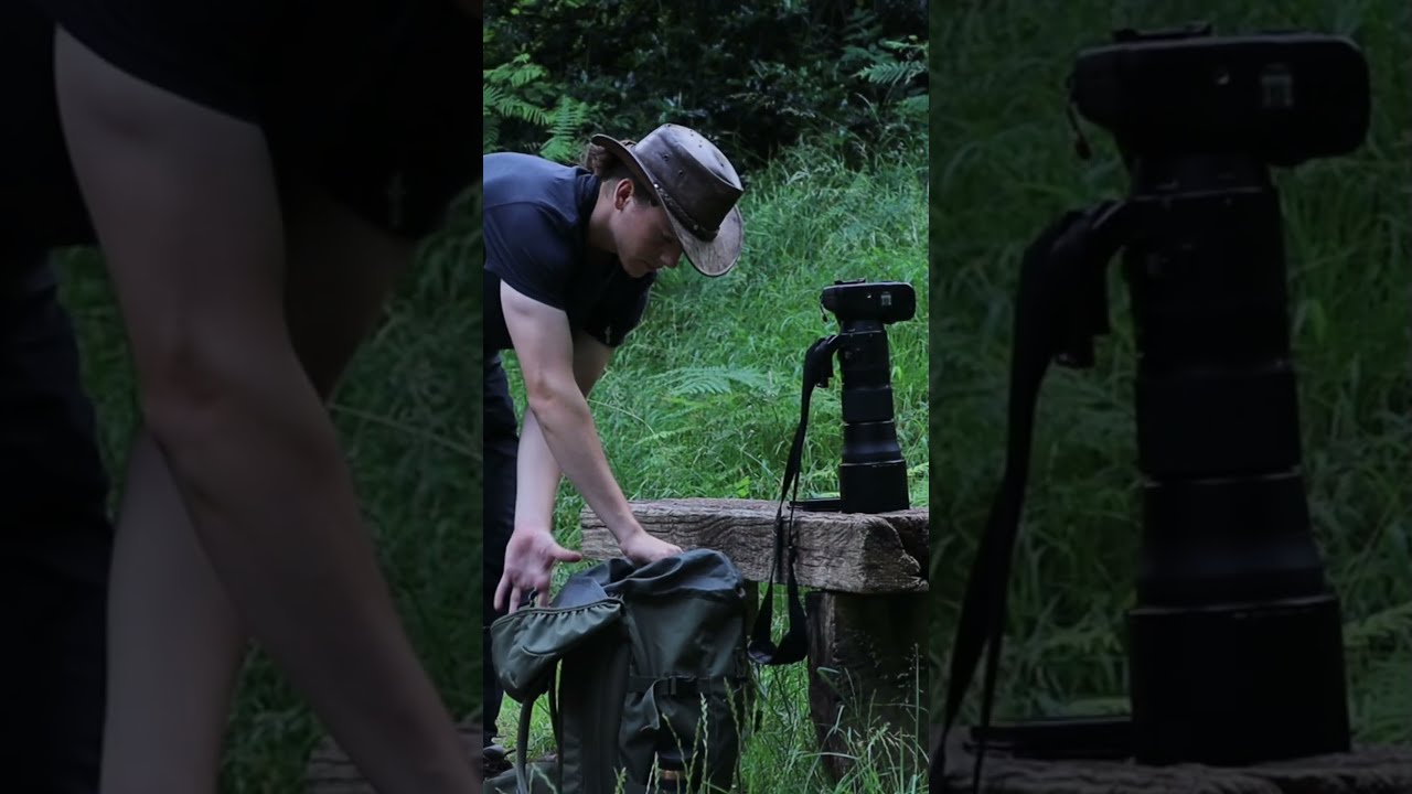 Wildlife Photography Adventure in the Hills! #shorts #photography #wildlife #adventure