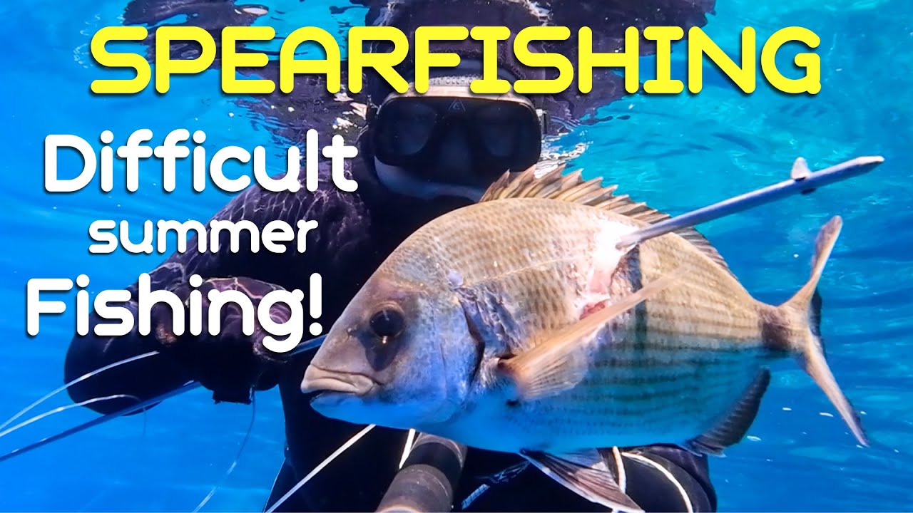 🔱Τα καλοκαιρινά ψάρια🐠κόποις κτώνται🤿! Difficult summer fishing! Σαργοι Σκαροι White Seabream