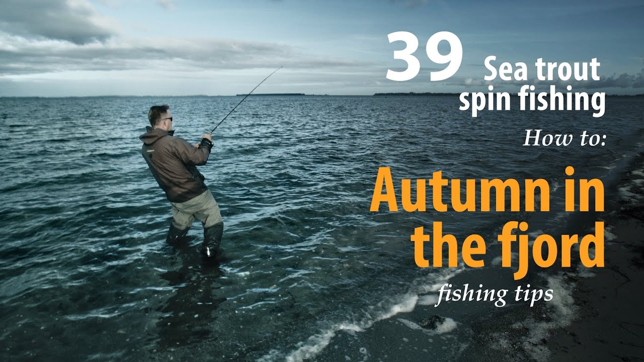 How to • Sea trout - Spin fishing • Autumn in the fjord • fishing tips