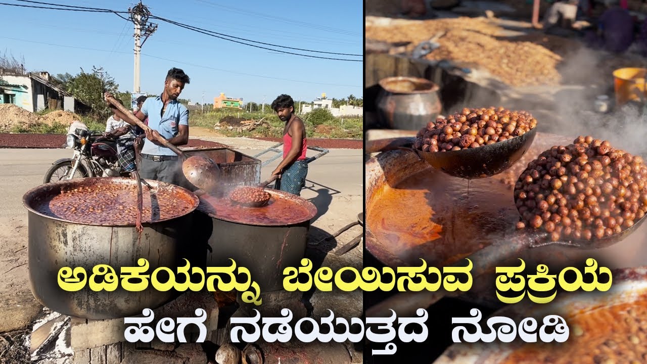 ಅಡಿಕೆಯನ್ನು ಬೇಯಿಸುವ ಪ್ರಕ್ರಿಯೆ ಹೇಗೆ ನಡೆಯುತ್ತದೆ ನೋಡಿ Arecanut Boiling Process at Bukkapatna Tumkur