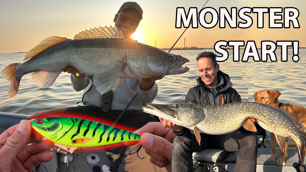 DROOM START van het nieuwe Roofvis Seizoen! Mega Snoeken en Snoekbaars