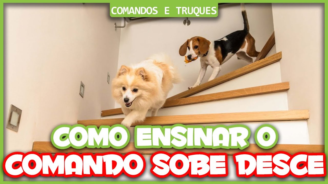 Como ensinar o comando SOBE e DESCE