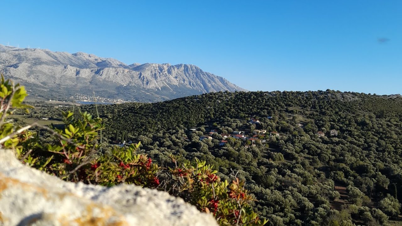 ΣΤΕΝΟ ΑΙΤΩΛΟΑΚΑΡΝΑΝΊΑΣ Ένα αφιέρωμα