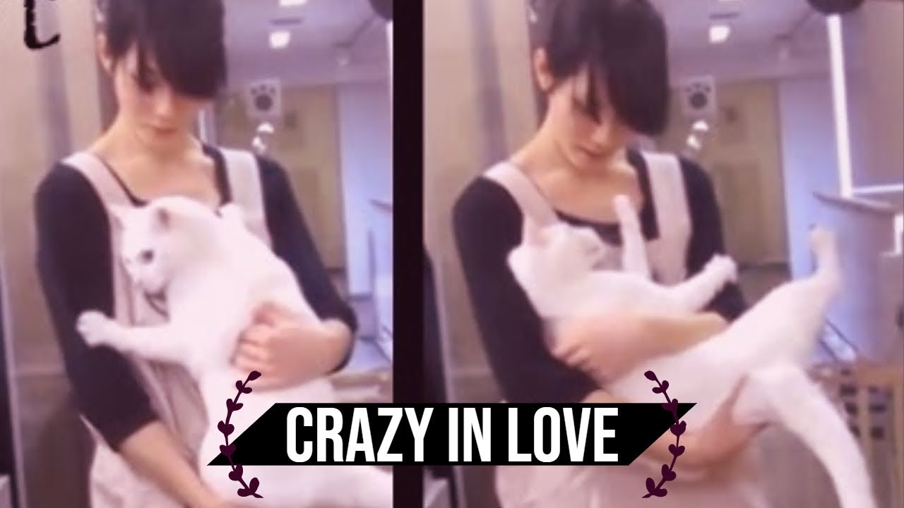 [NEKO TIME] crazy japanese cat loves his human -  池袋のねころび Cat Cafe