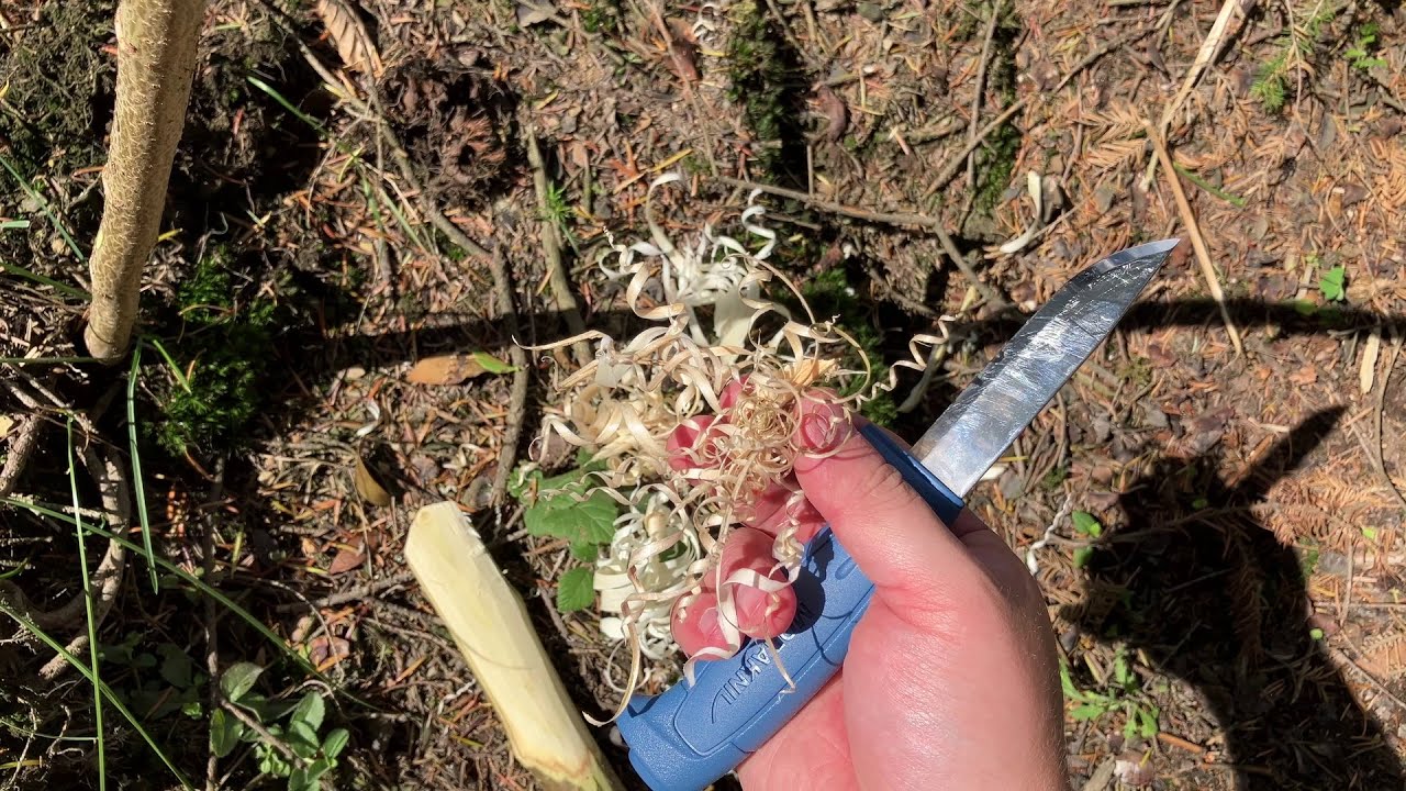 #37 🕰️ Morakniv Basic 546 Feathersticking, Making Feathers, Curls, Feather Stick Making