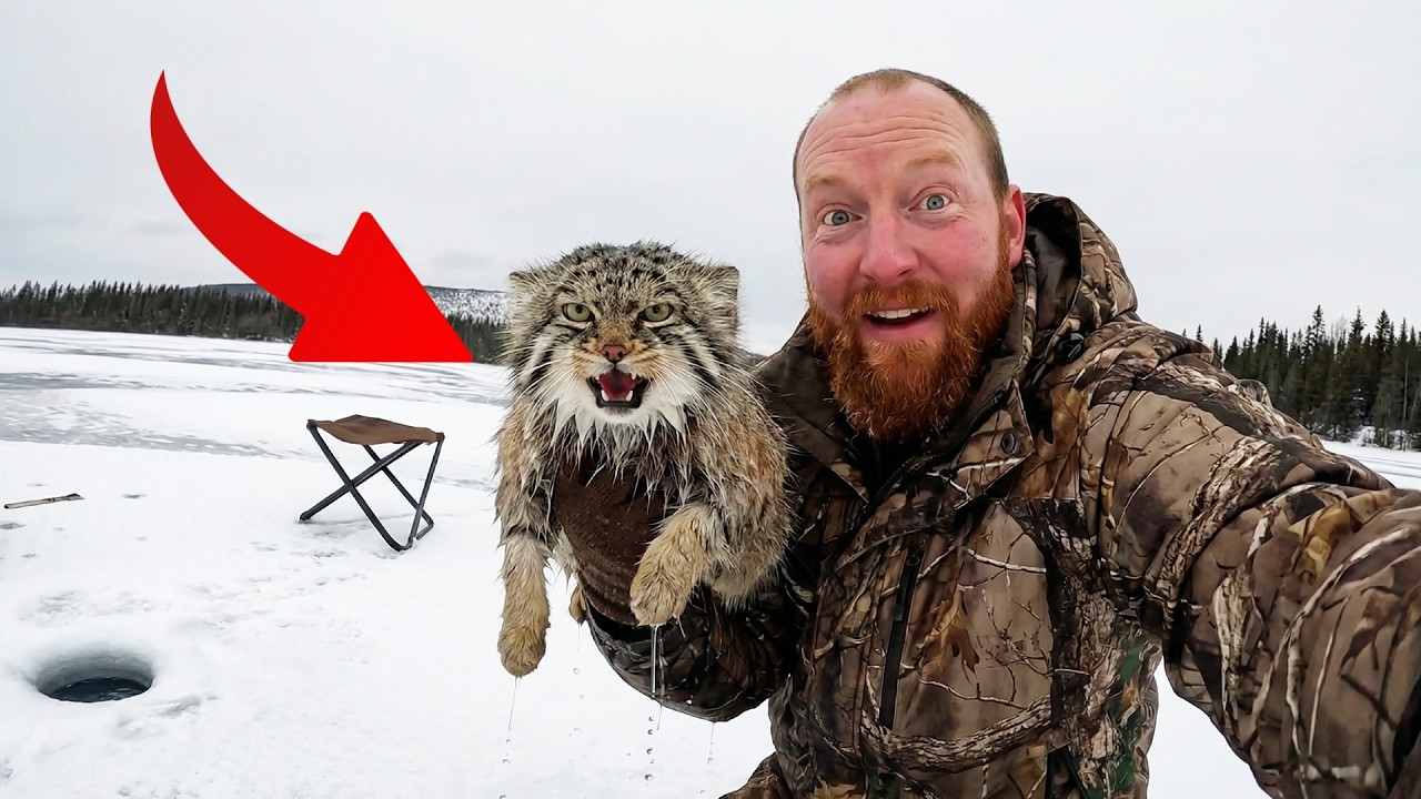 I Pulled This Wild Cat From A Frozen Lake... I Didn't Expect Her To Bring An Army