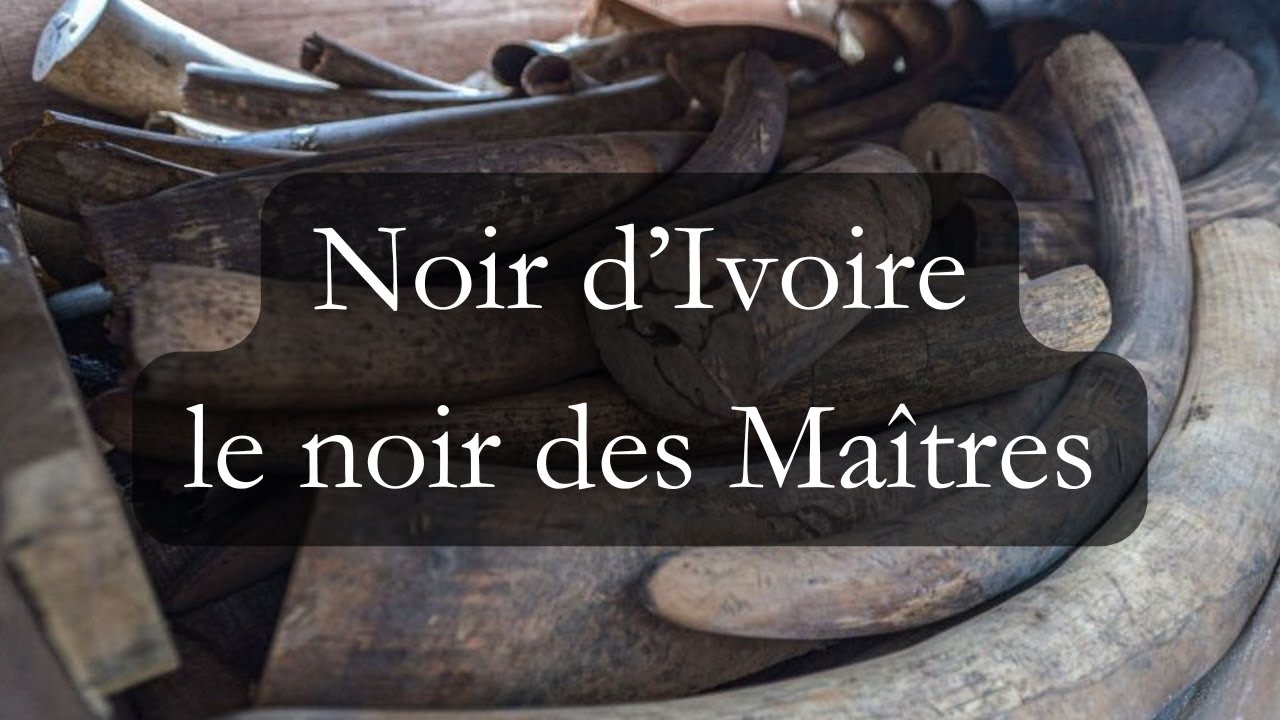 C'est le plus beau des noirs depuis 2000 ans !