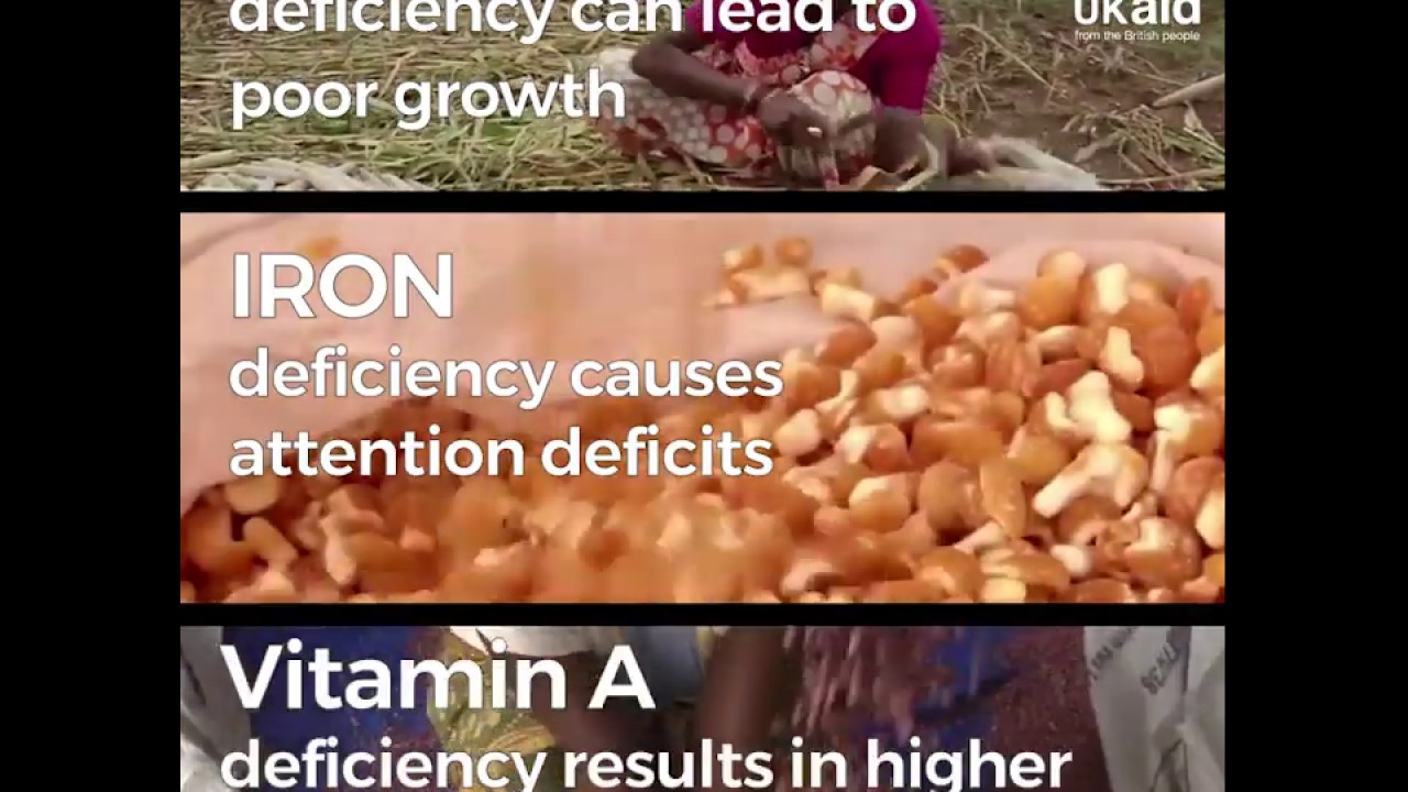 Biofortification Super Crops