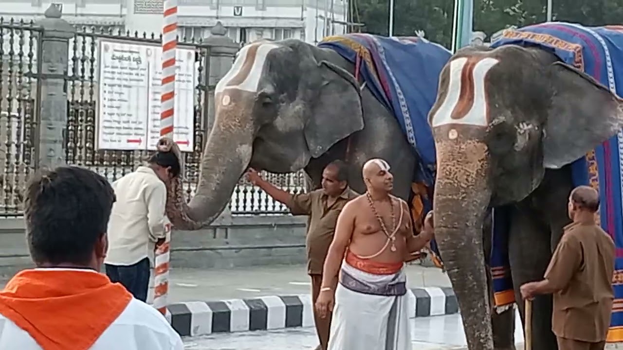 తిరుమల క్షేత్రం 