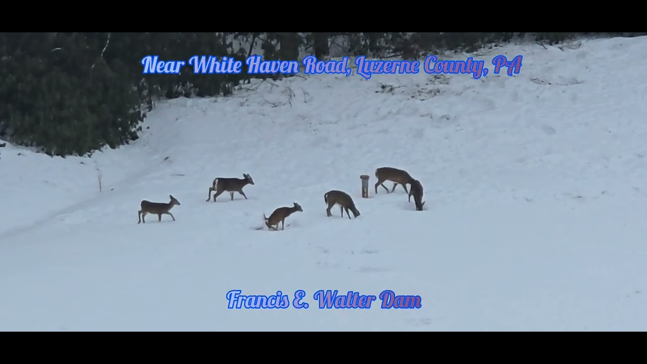 Francis E.  Walter Dam, Near White Haven Road, Luzerne County, PA, USA.  Music by Kapka and David. 
