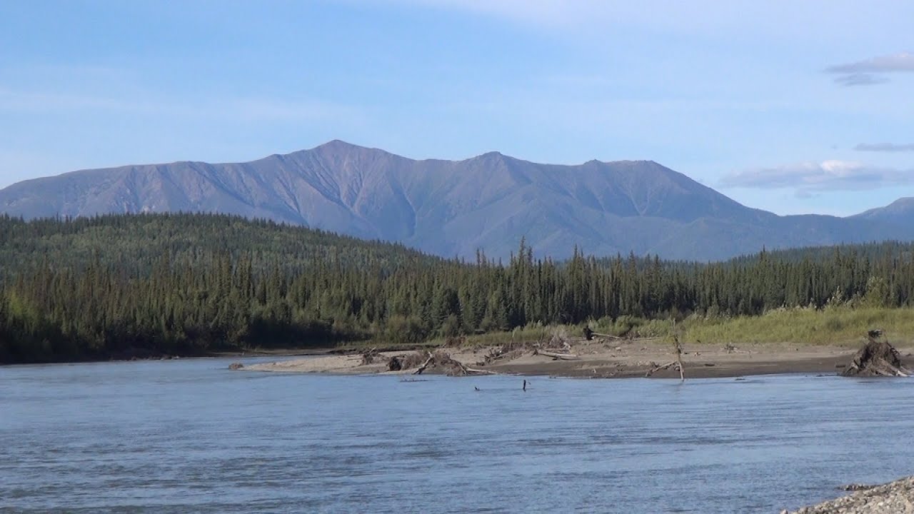 Pelly River 2015  Del 3 av 5. Med kano i Canadas villmark.