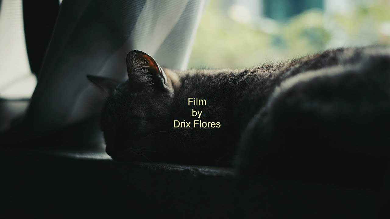 Gonna Be Okay ｜Sony A6500 + Sony FE 50mm F1.8 ｜Cinematic  Video