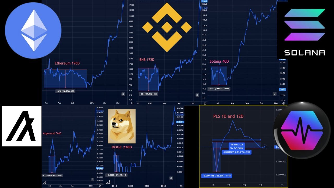PulseChain vs Ethereum vs BNB vs Solana vs Algorand vs DogeCoin
