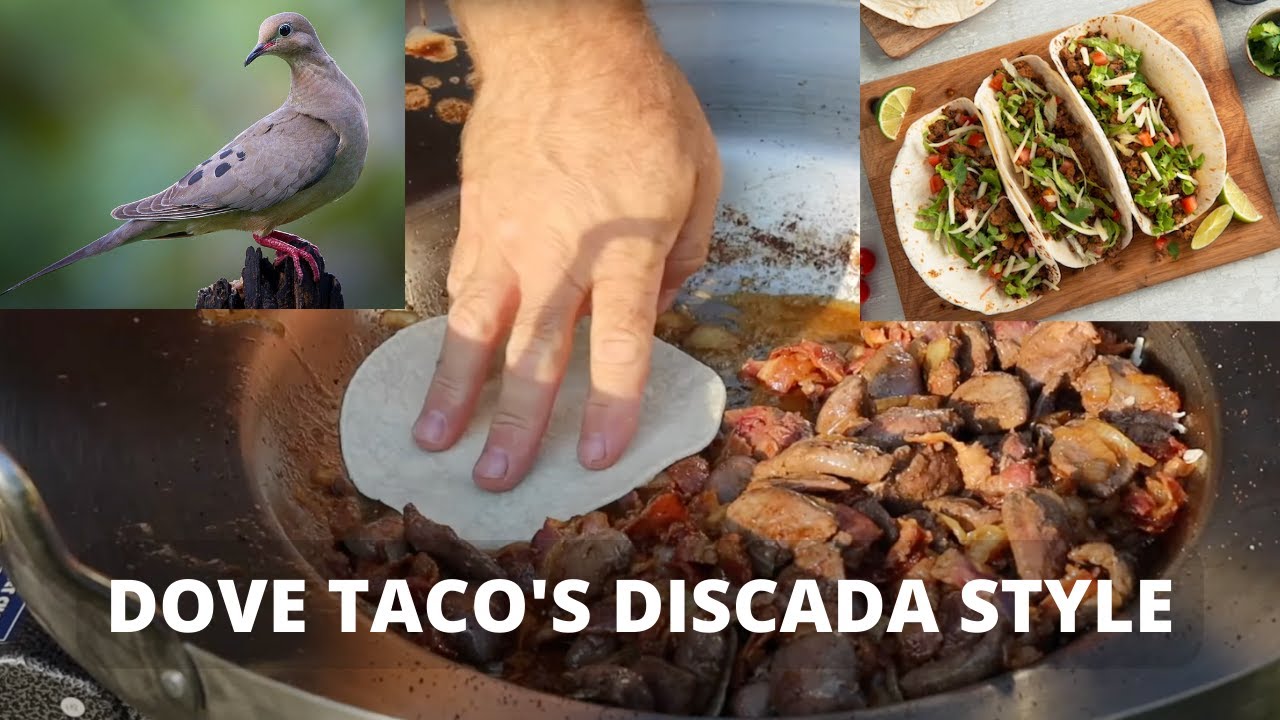СТИЛЬ ДИСКАДА ОТ DOVE TACO