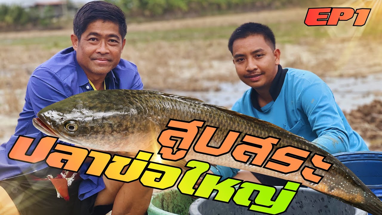 💢หาอยู่หากิน ตามล่าปลาข่อใหญ่ ￼#เพชรลำเพลิน 