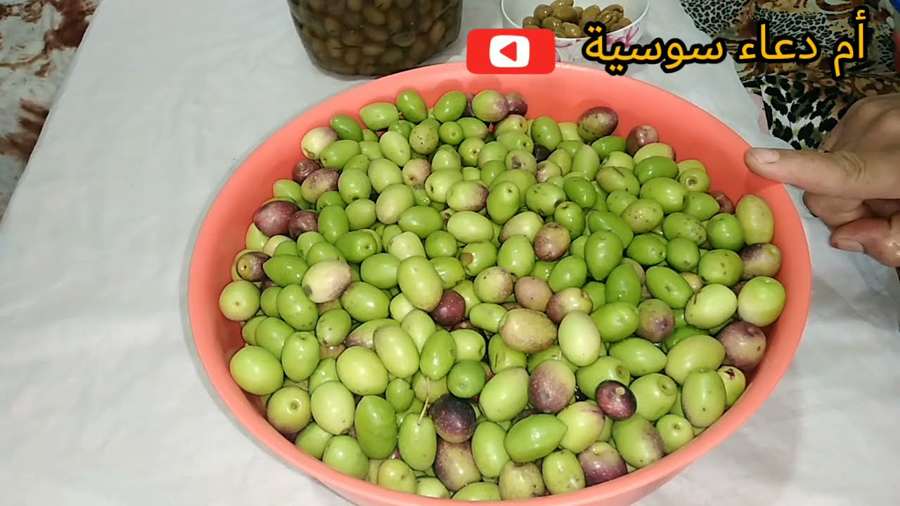 طريقه ديال ترقاد الزيتون