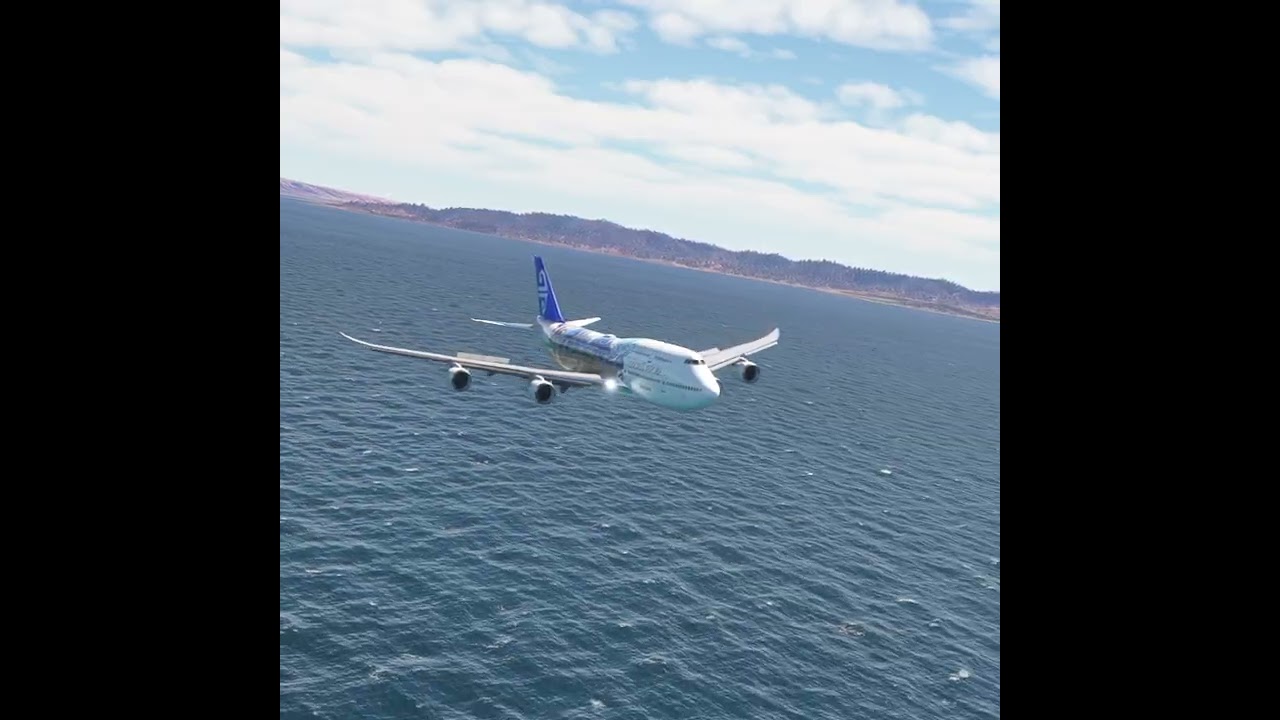 the carelessness of an airplane pilot 0203