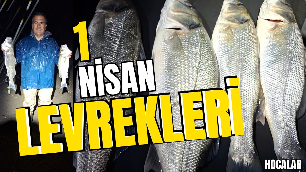 GECE LEVREK AVI VE TEKNİKLERİ / SİLİKONLA AT &Ccedil;EK LEVREK AVI / Sea Bass Fishing With A Silikon Lure