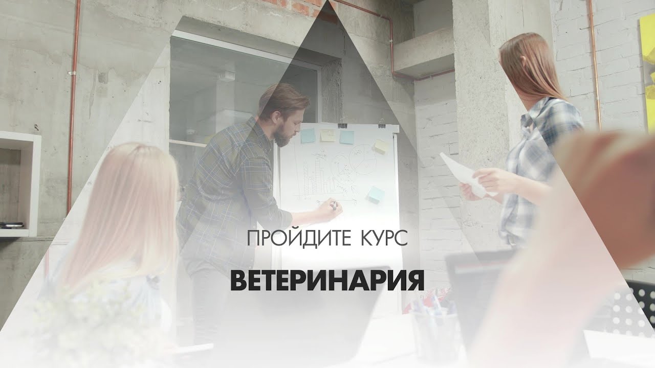 Онлайн курс обучения &laquo;Ветеринария&raquo;