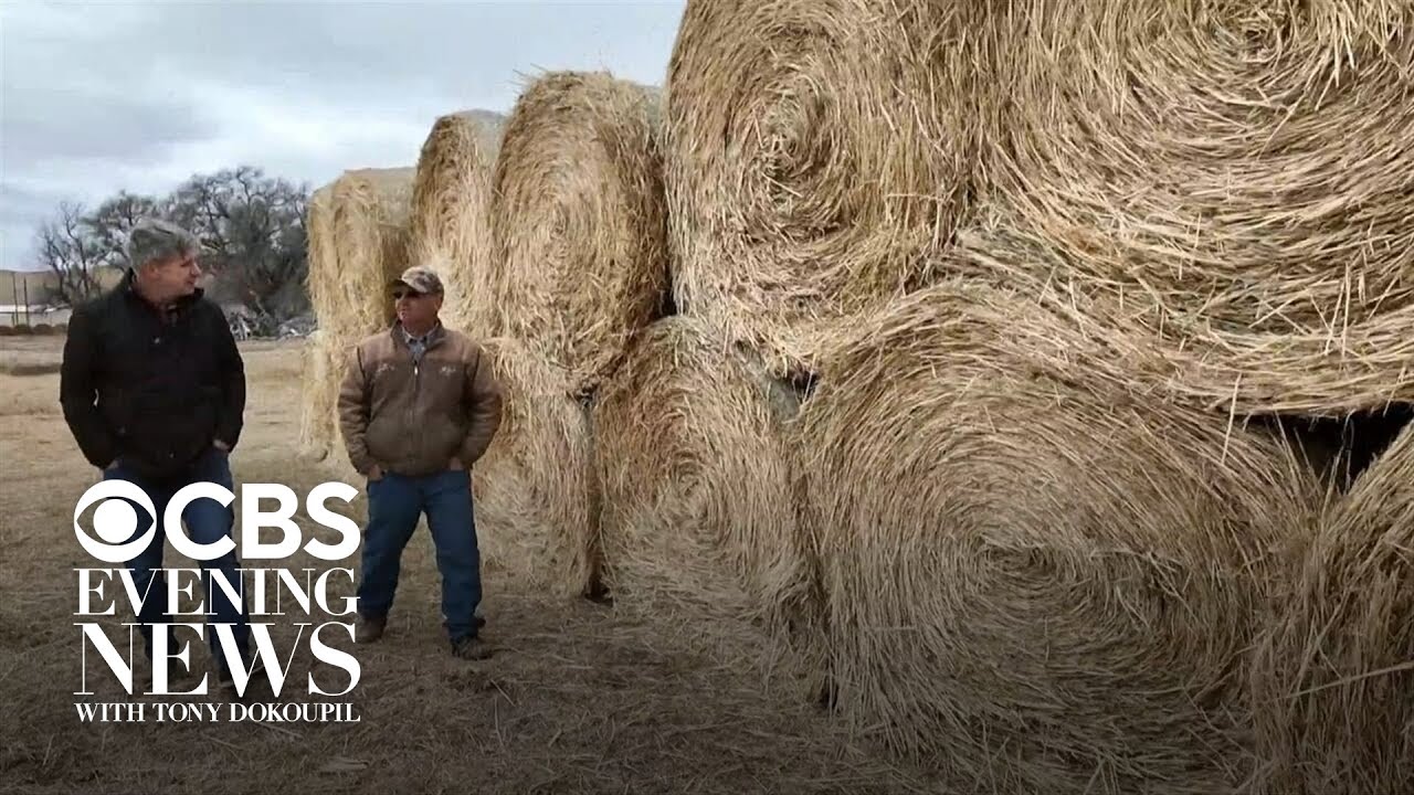 Donors pitch in to help Nebraska ranchers who lost everything