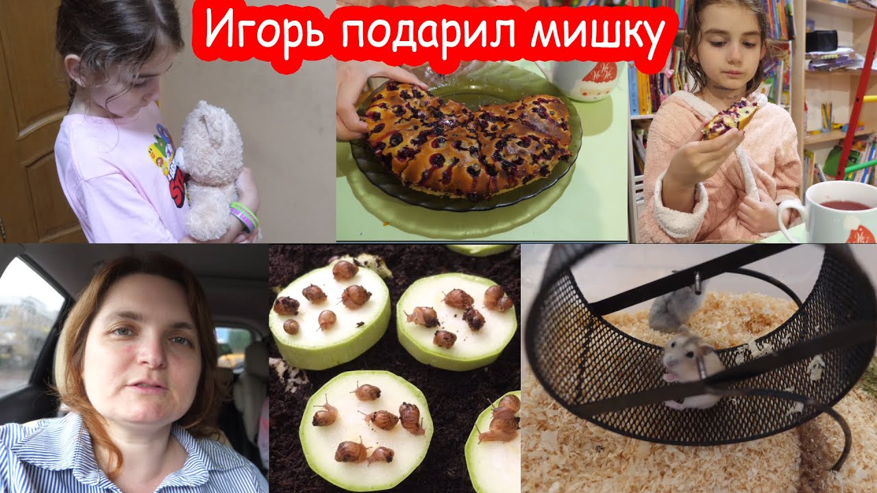 VLOG То, что я делаю дома каждый день